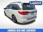 2021 Honda Odyssey Elite
